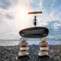 定‌制‌排‌名﻿策﻿略‌脚‍本﻿怎​么﻿做﻿